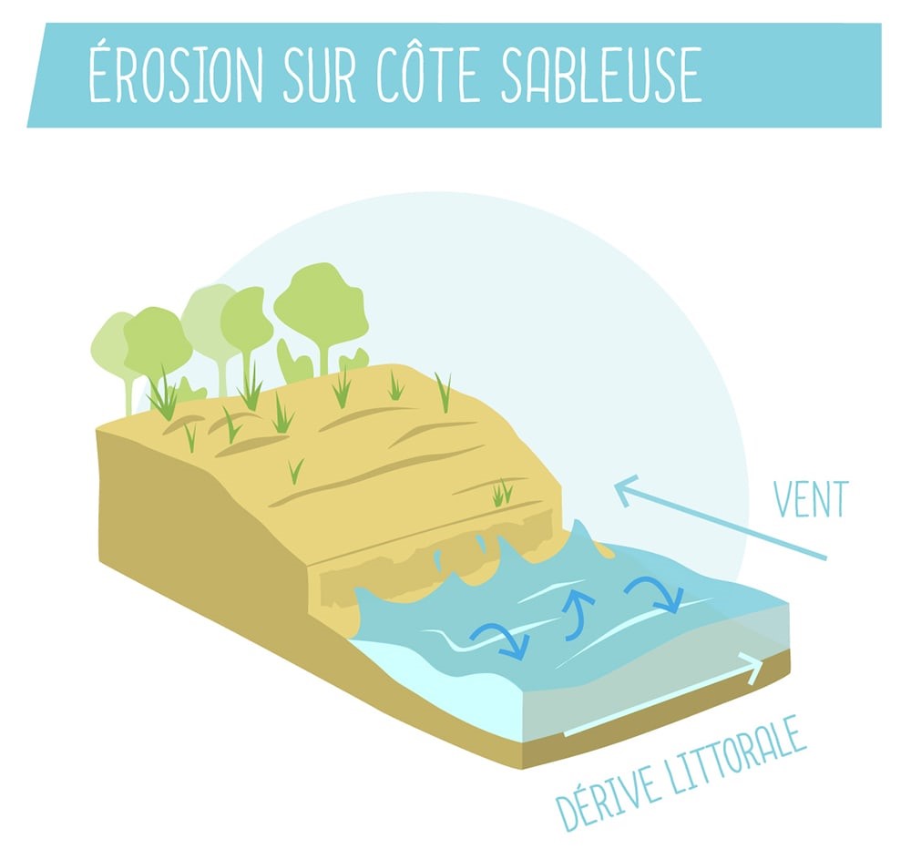 https://fr.oceancampus.eu/cours/u2y/les-risques-derosion-et-de-submersion