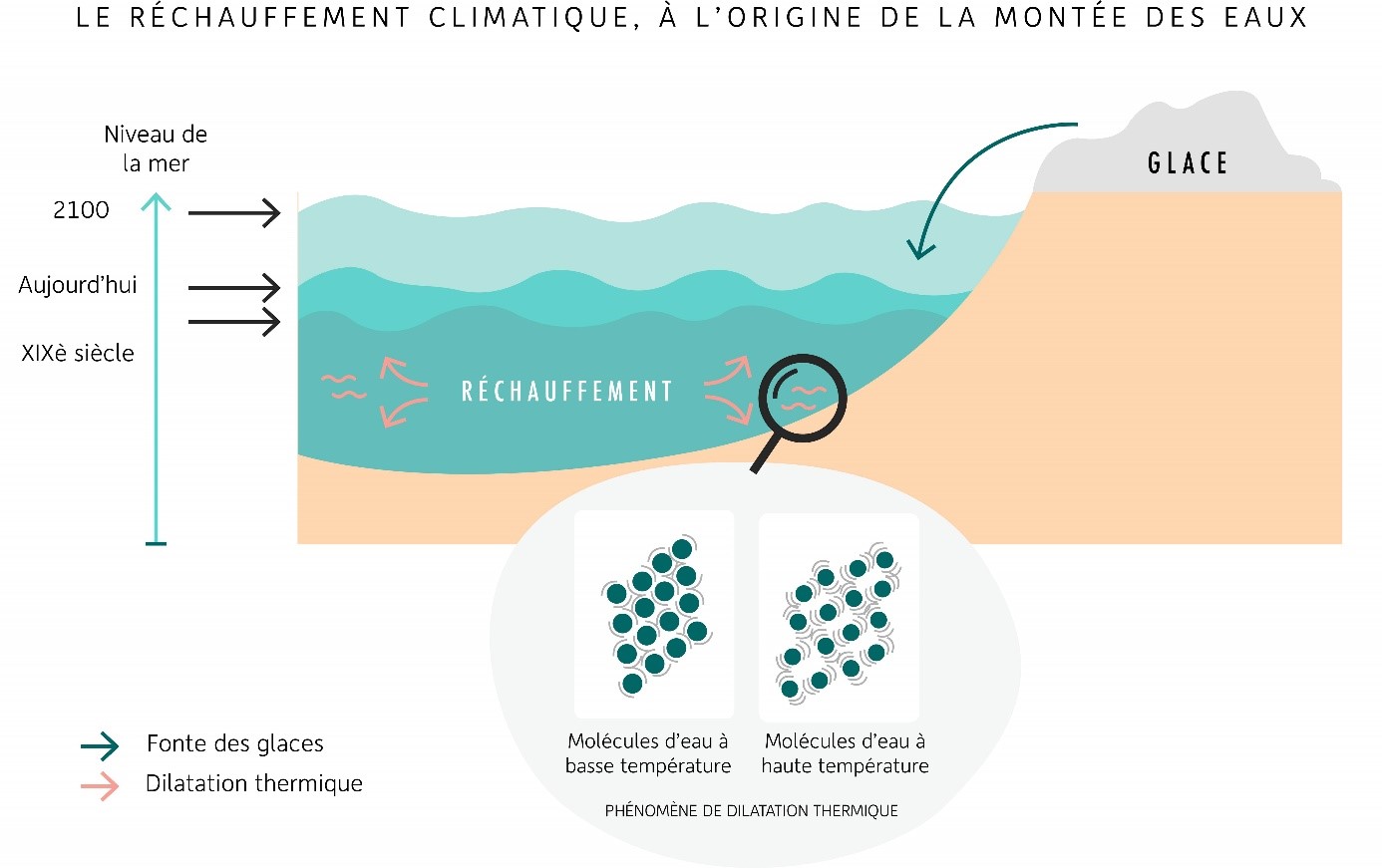 https://www.mtaterre.fr/dossiers/lete-sur-la-plage-profiter-de-ses-vacances-tout-en-preservant-lenvironnement/les-effets-du